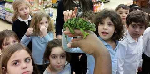 Children viewing Iguana